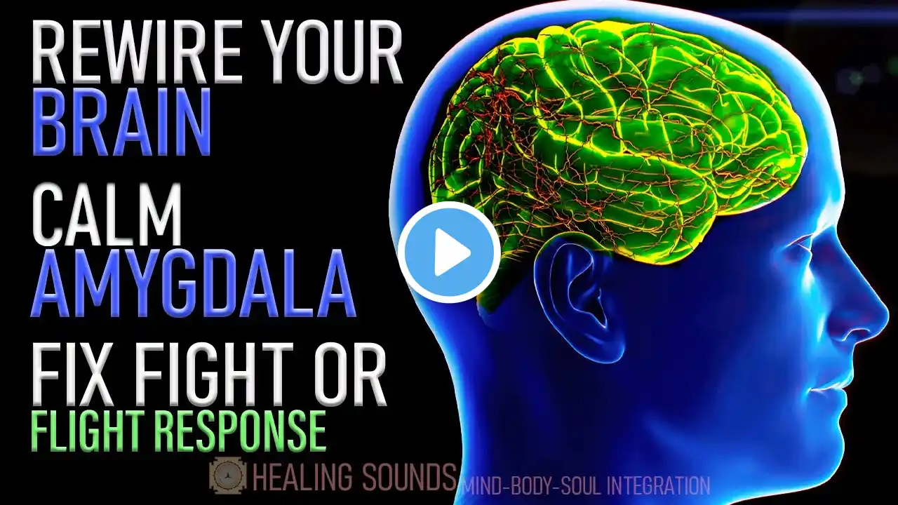 Rewire your Brain | Calm your Amygdala | Let Go of Anxiety and PTSD | Fix Fight or Flight Response