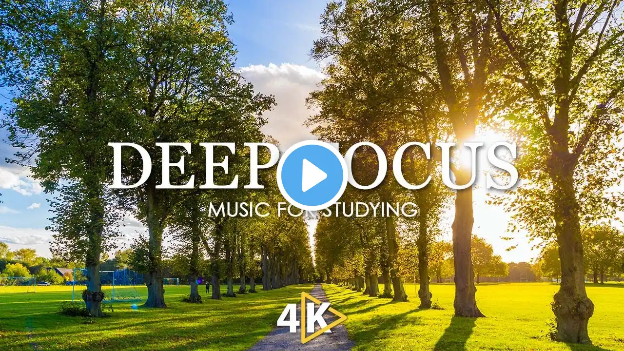 Deep Focus Music To Improve Concentration - 12 Hours of Ambient Study Music to Concentrate #842