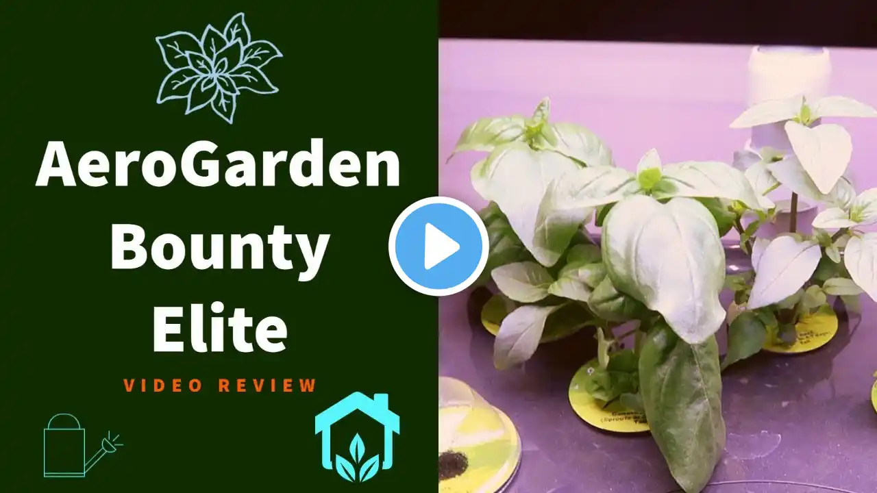 AeroGarden Bounty Elite Review - Indoor Hydroponic Garden - Is It Worth The Cost?