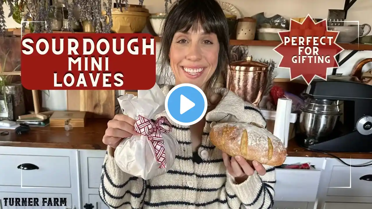 Sourdough Mini Loaves - Perfect for Gifting!