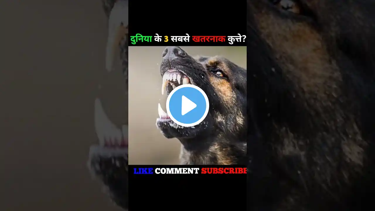 😈 MOST DANGEROUS DOGS IN THE WORLD.| Rakesh facts #shorts #dog #dogs #doglover #dangerous