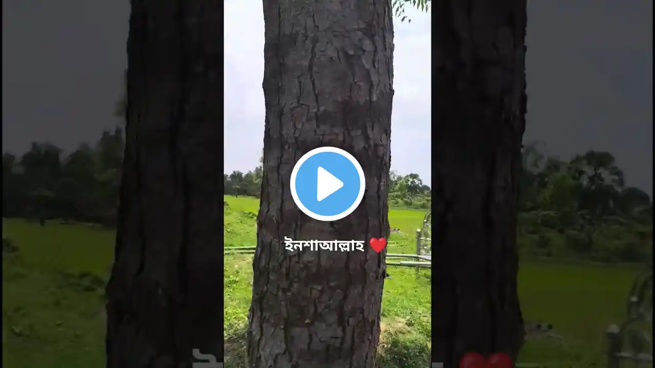 Untitled video