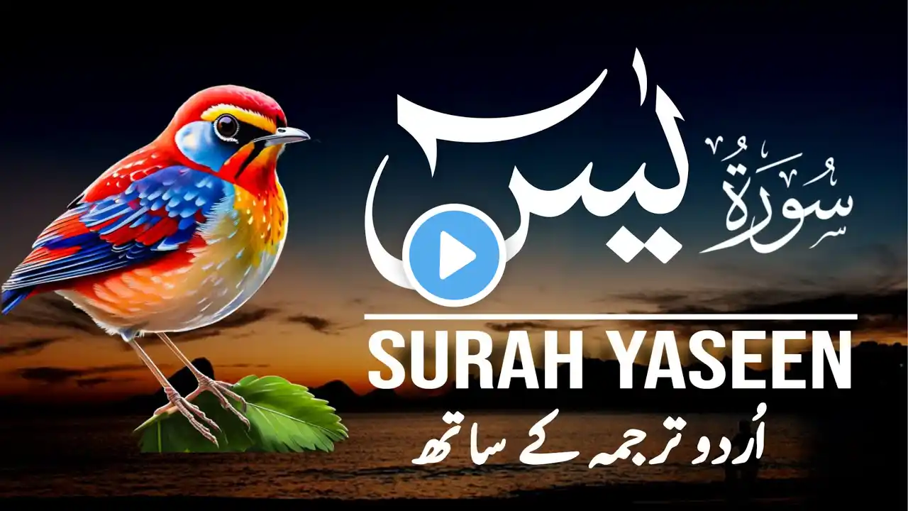 Surah Yaseen | Surah Yaseen With Urdu Translation | Episode - 300