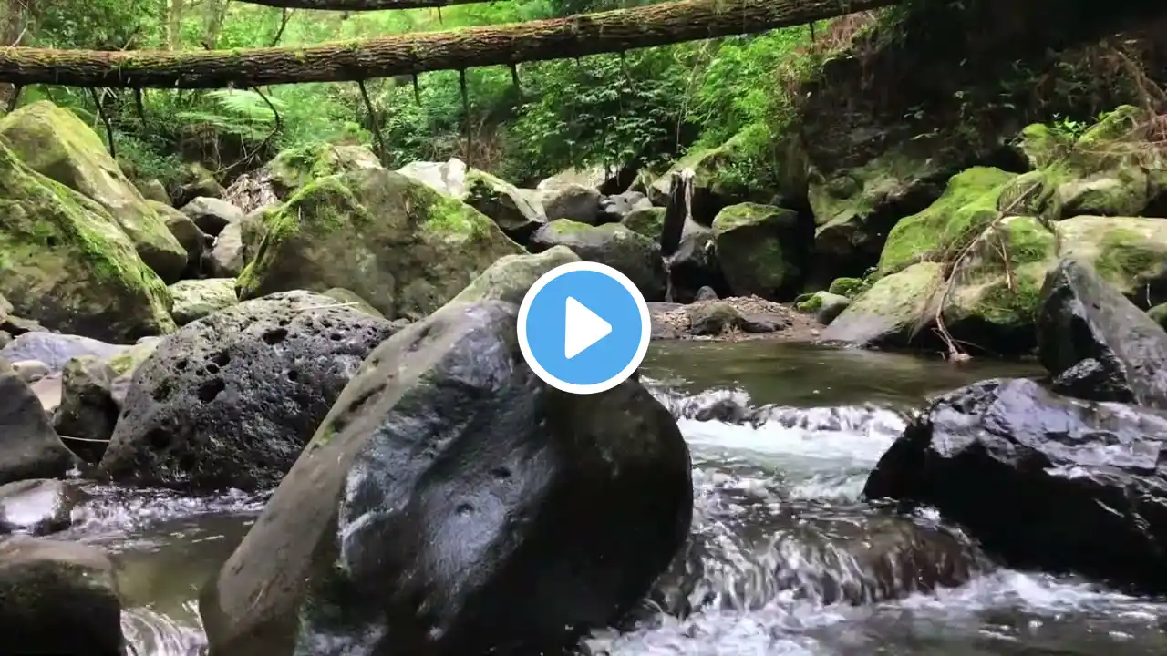 Relaxing River Sounds relaxing atmosphere, for yoga, for studying, stress relief