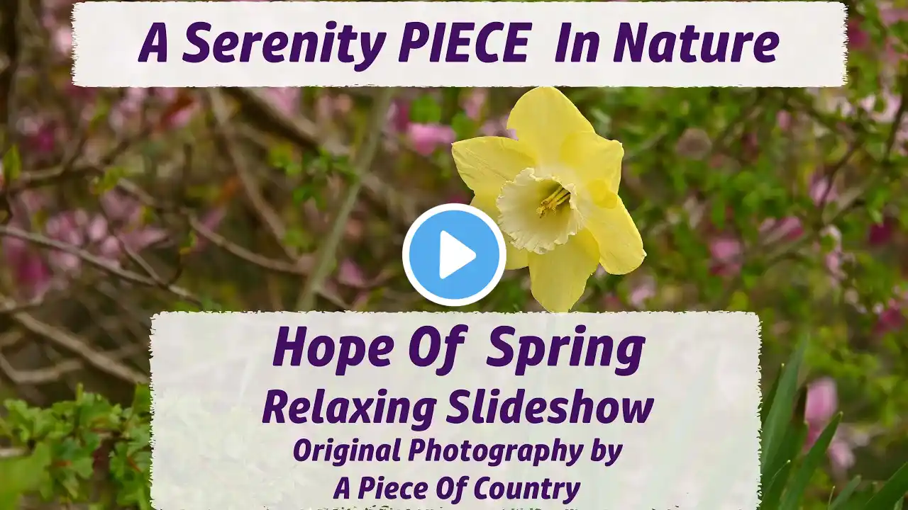 Hope Of Spring Relaxing Nature Slideshow Serenity 4K ~ Original Photography & Peaceful Calming Music