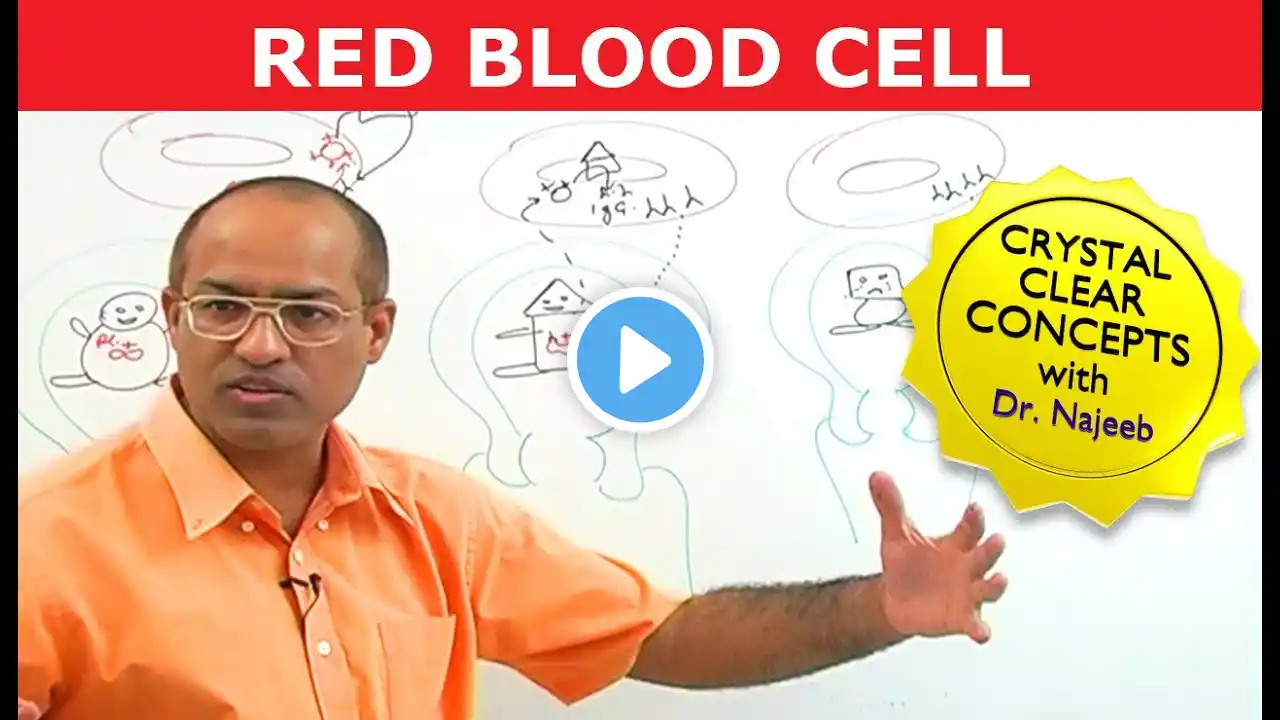 Red Blood Cells | RBC | Erythrocytes | Erythropoiesis🩸