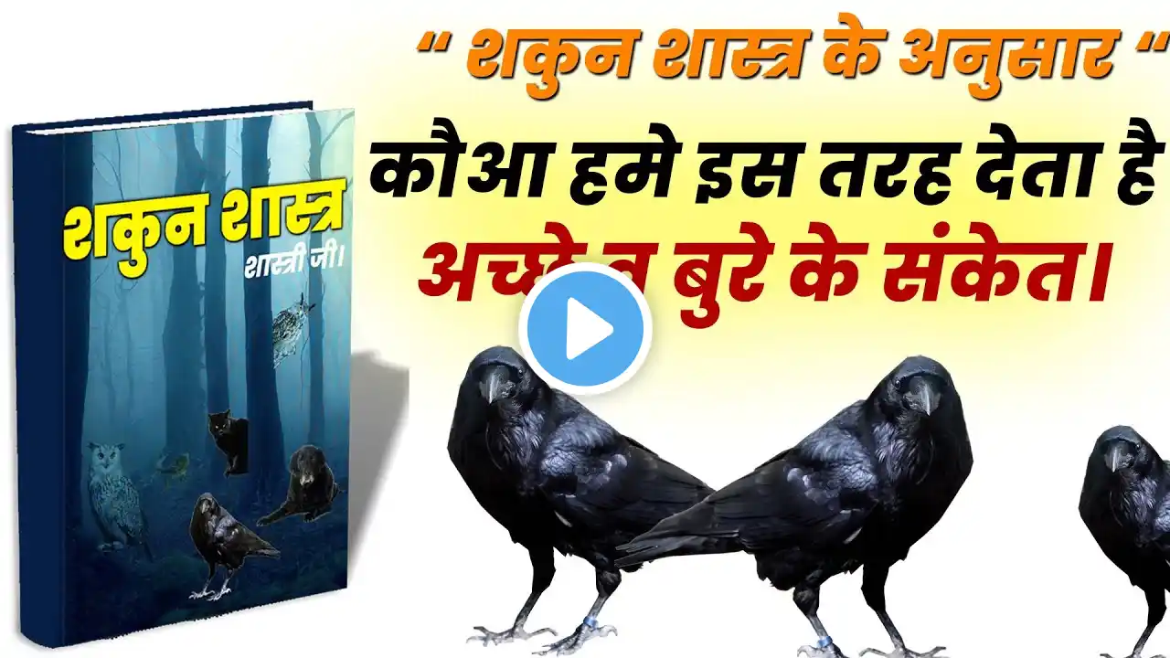 कौआ देता है हमे शुभ अशुभ संकेत। भाग्य बदलने के संकेत। crow shubh ashubh sanket.