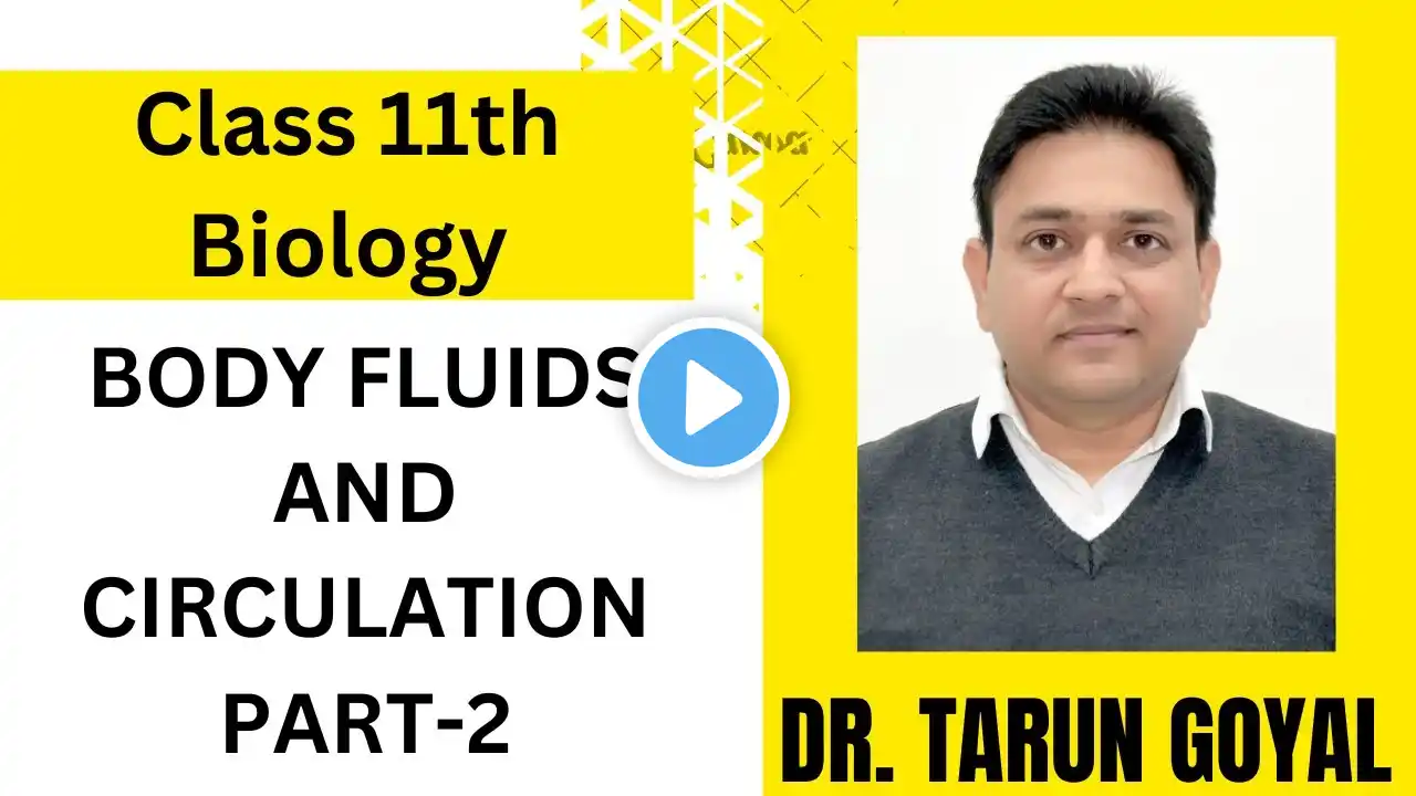 CLASS 11TH BIOLOGY/2025/MASTER CADRE BIOLOGY/Body Fluids and Circulation-2