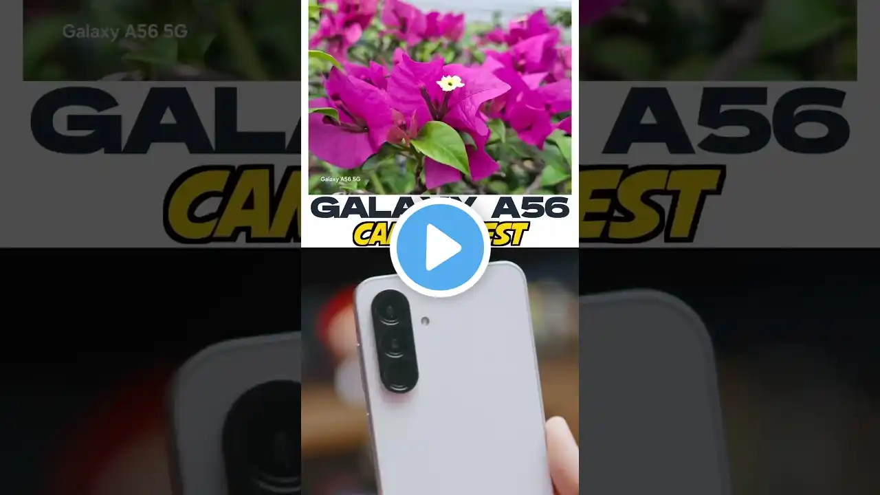 Galaxy A56 Camera TEST. A Worthy Upgrade? #galaxya56