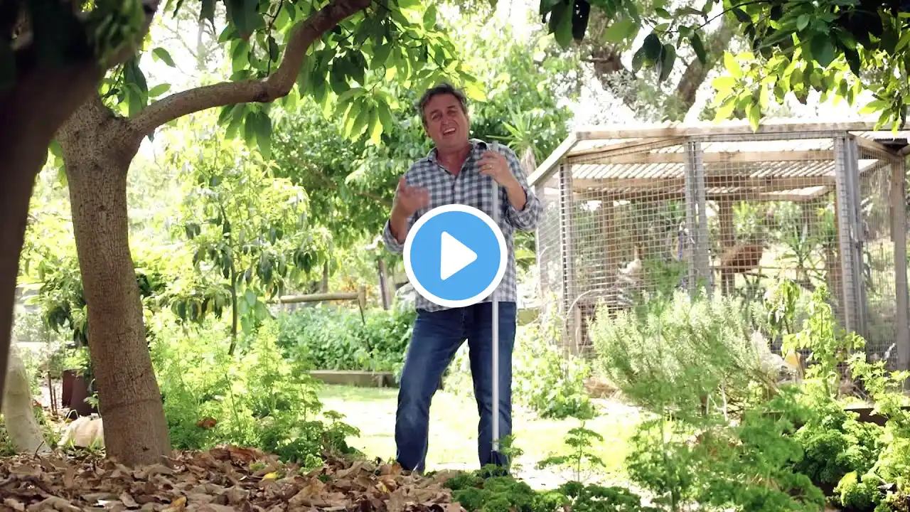 The Garden Gurus - The Beginning Of Summer Gardening