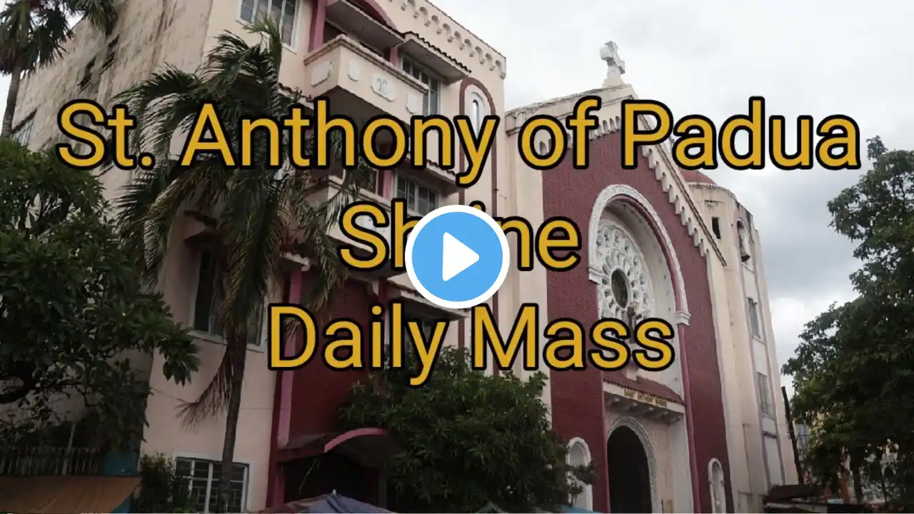 Daily Mass - St. Anthony of Padua Shrine Manila Tuesday, March 16, 2021