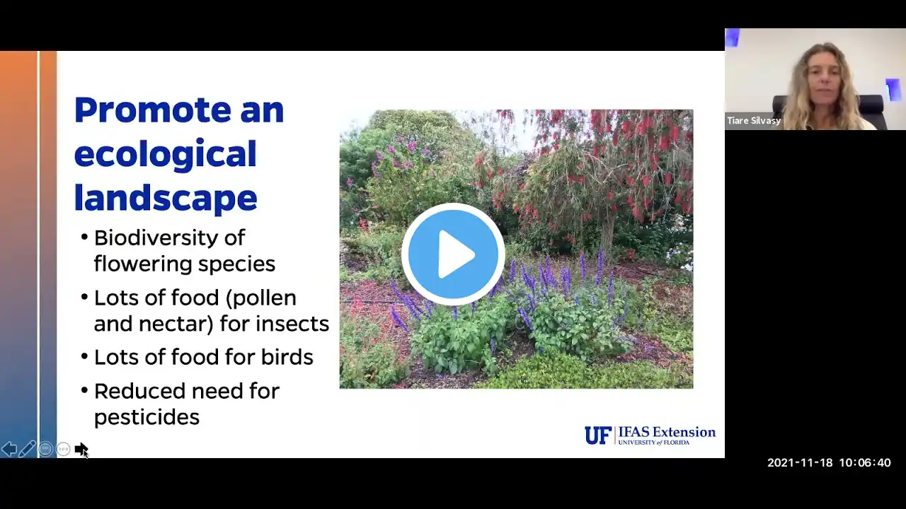 Florida Wildflower Gardening: Part 2