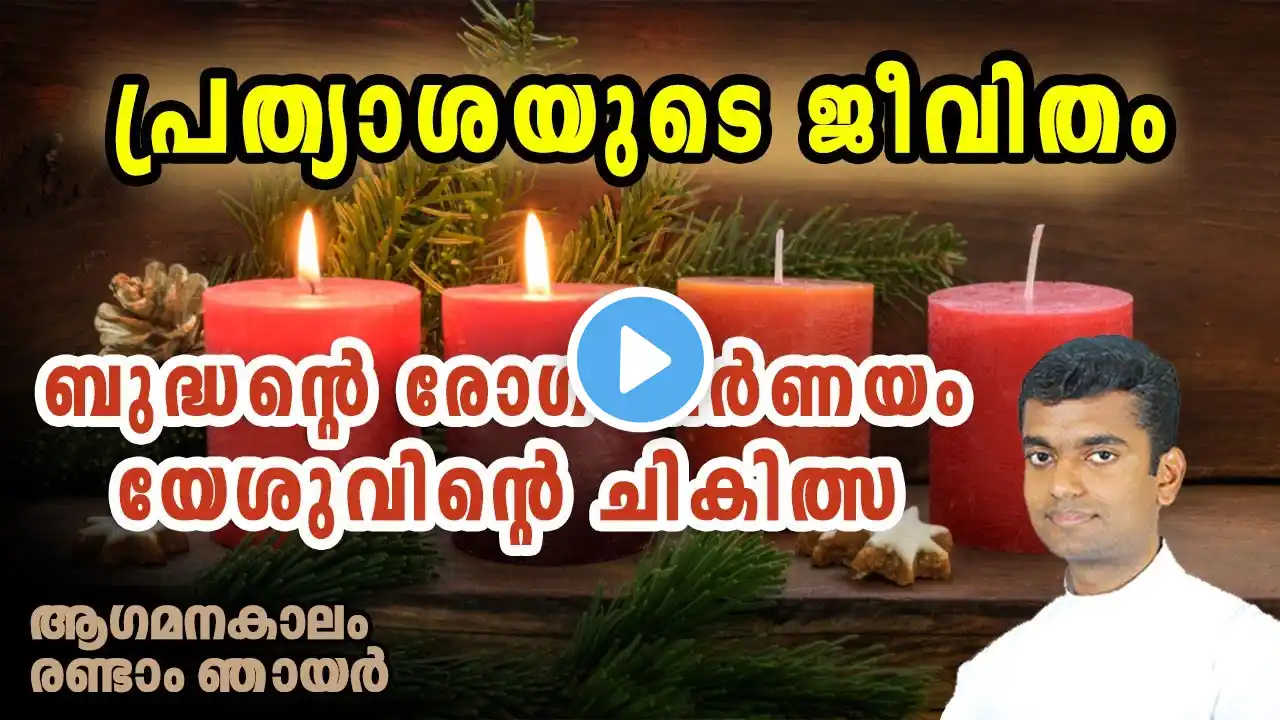 പ്രത്യാശയുടെ ജീവിതം 2nd Sunday of Advent Sunday Homily Malayalam Year A Fr Anuraj Advent Reflections