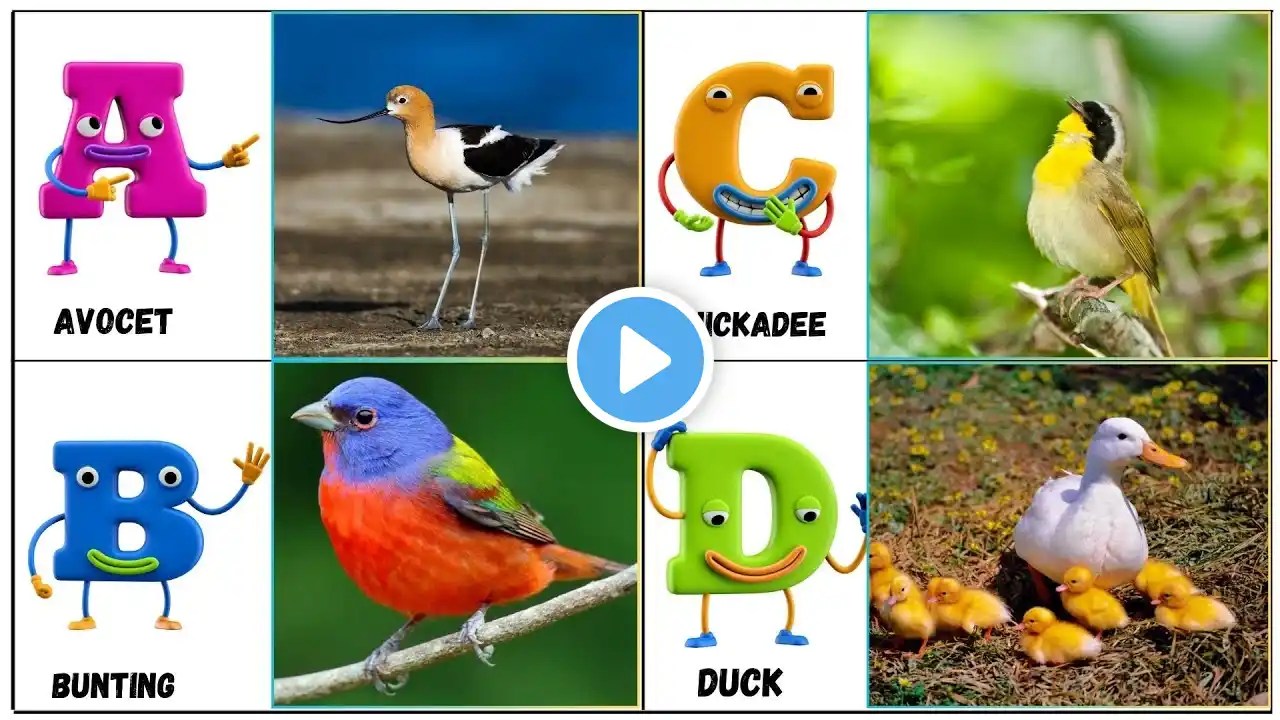 ABC Flying Animals Song for Kids | Learn English and Animals #abcd