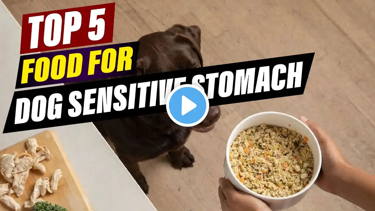 Affordable Dog Food for Sensitive Stomachs: Budget-Friendly Options