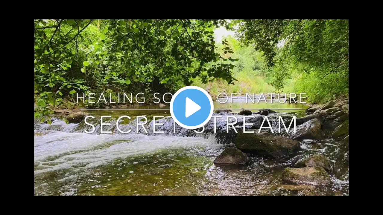 Swiss River stream Sound Relaxation Nature Sounds Music for Stress Relief, Sleep, Meditation, Chill