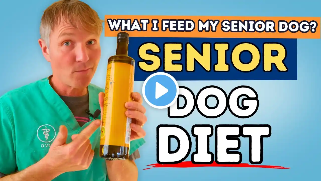 Senior Dog Food: Find out what Dr Jones Feeds his Senior Dog | EASY & VET-APPROVED