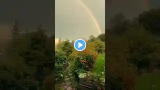 Oh, Wow look at the 🌈✨| Nature 4k shorts video #nature #shorts #youtubeshorts #aesthetic