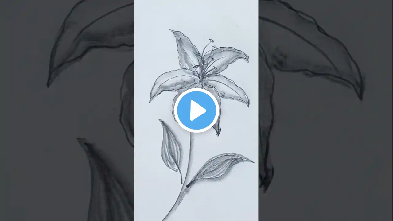 Only Pencil ✏️ Drawing Trick 💡 #shortsviral #shorts #youtubeshorts
