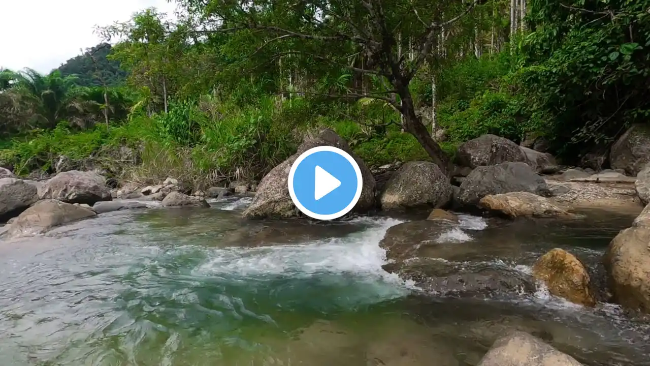 Relax with Sound Of River Water, Birds Chirping, Forget Stress and Relaxation, ASMR