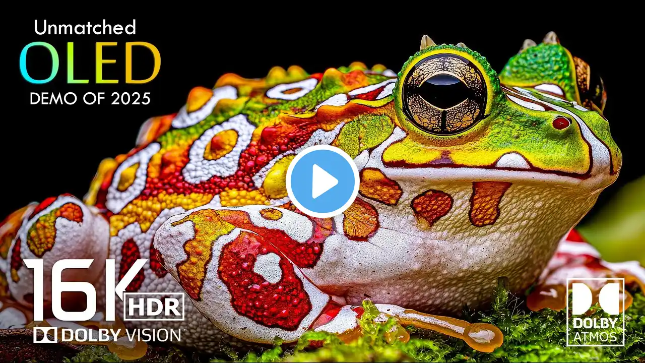 Unmatched 16K Video - Best 16K HDR Video ULTRA HD 1000 fps - Dolby Atmos