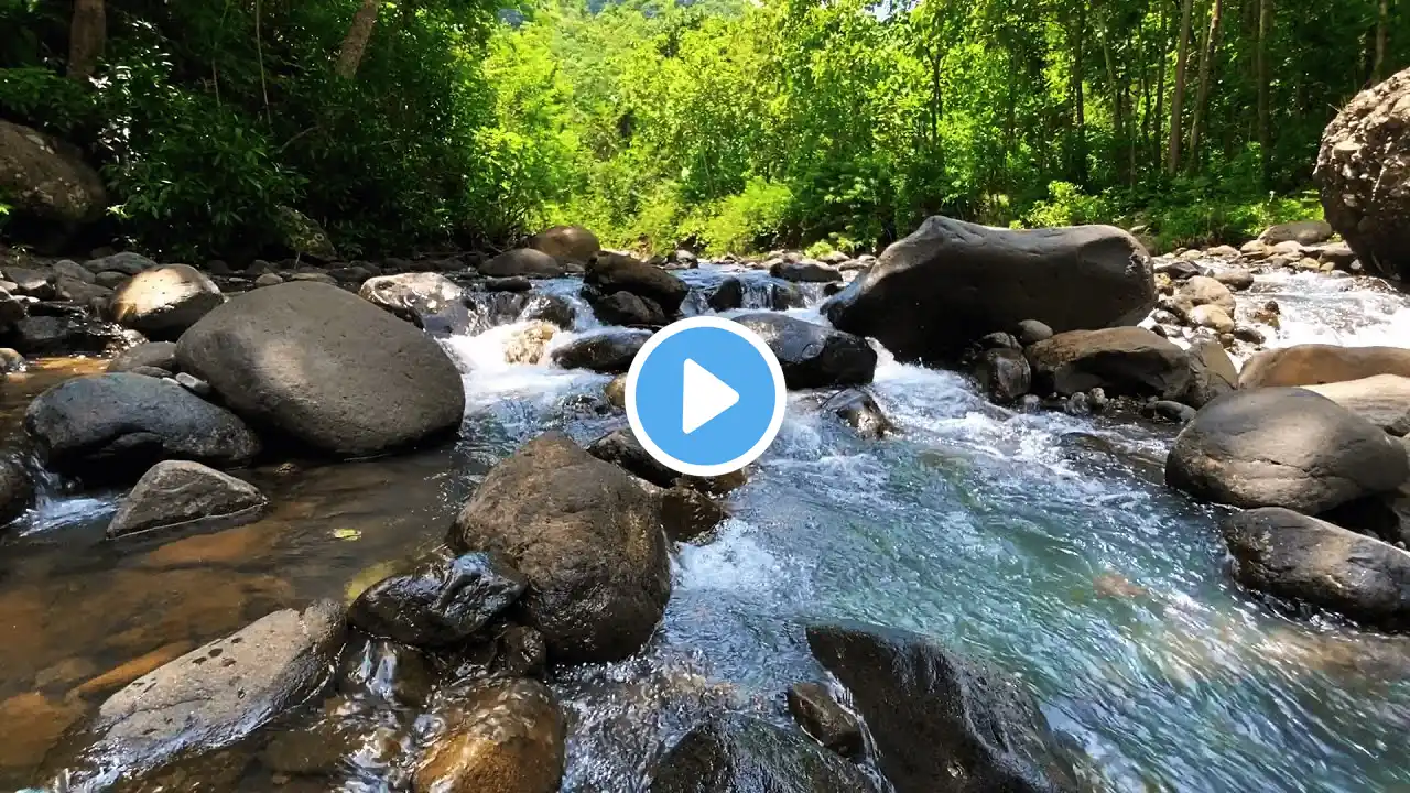 Flowing River Sound & Cascading Waterfall in a Green Forest | Peaceful Nature Ambience for Healing