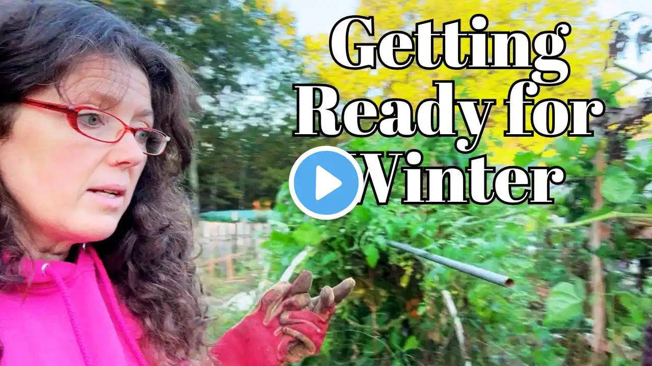 Getting Ready for Winter: Garden Cleanup & Plant Rescues