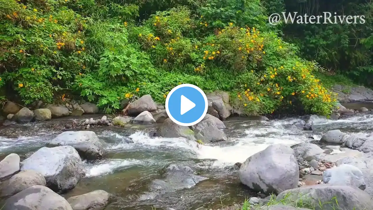 Relaxing river sound of mountain streams for deep sleep, mind refreshing, stress relief, and yoga