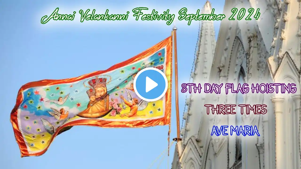 🔴LIVE Annai Vellankanni' s, 8th day Flag Hoisting 'Three Times ' Ave Maria 06-09-2024 at 12 noon