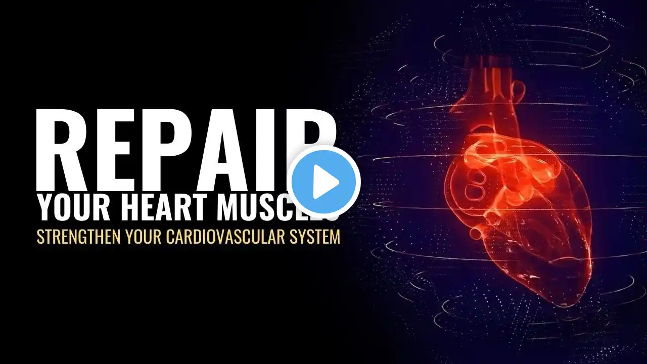 Repair Your Heart Muscles Regulate Blood Flow | Strengthen Your Cardiovascular System | Heal Heart