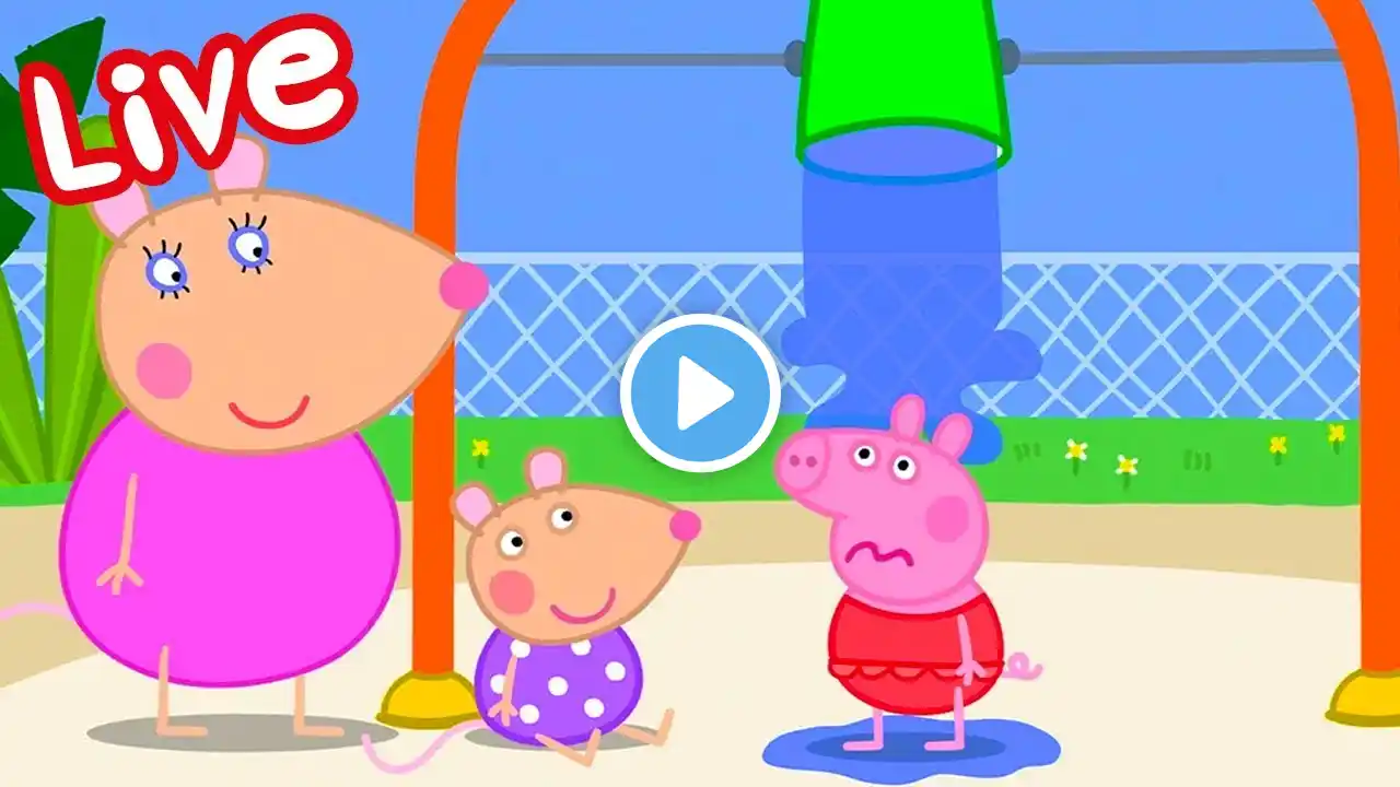 🔴 LIVE Peppa Pig Surprise Full Episodes 2024 | 24/7 Livestream