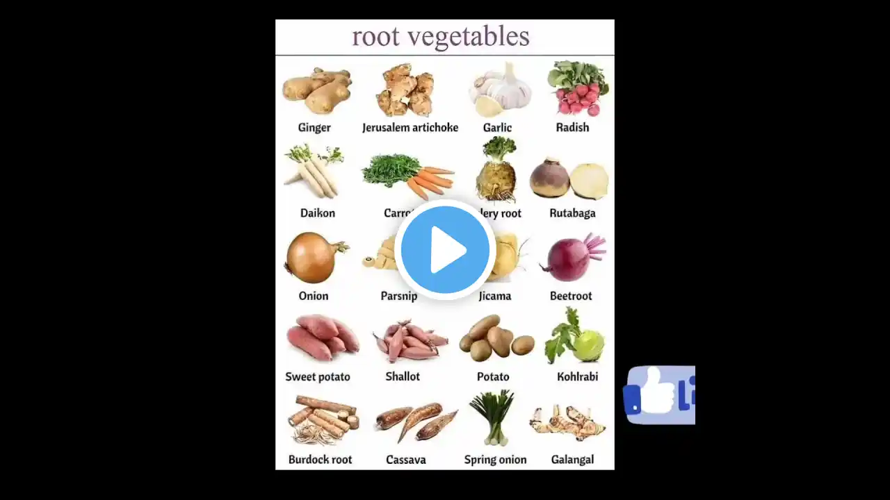 🥕🧅🫚🍠Root Vegetables #shorts #shortvideo #englishspeaking #englishvocabulary #vocabulary #grammar