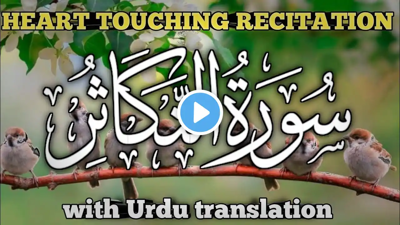 Surah Takasur | سورۃ التکاثر| Most Beautiful Recitation | Surah At-Takathur Benefits #quran  #allah