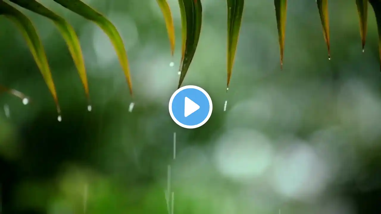 Relaxing piano music & rain sounds helps to fall asleep faster - Eliminate stress and calm the min
