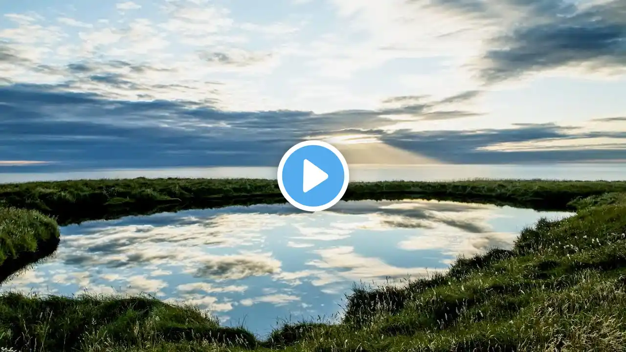 Splendid Summertime In The Scottish Wilderness | Scotland: A Wild Year