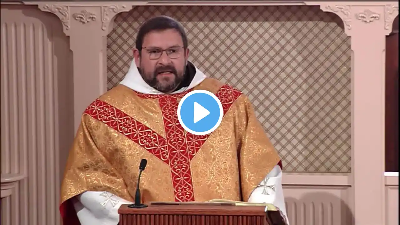 Daily Readings and Homily - 2021-11-21 - Fr. Leonard