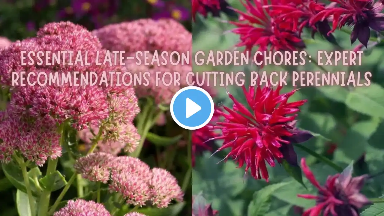 Essential Late-Season Garden Chores: Expert Recommendations for Cutting Back Perennials