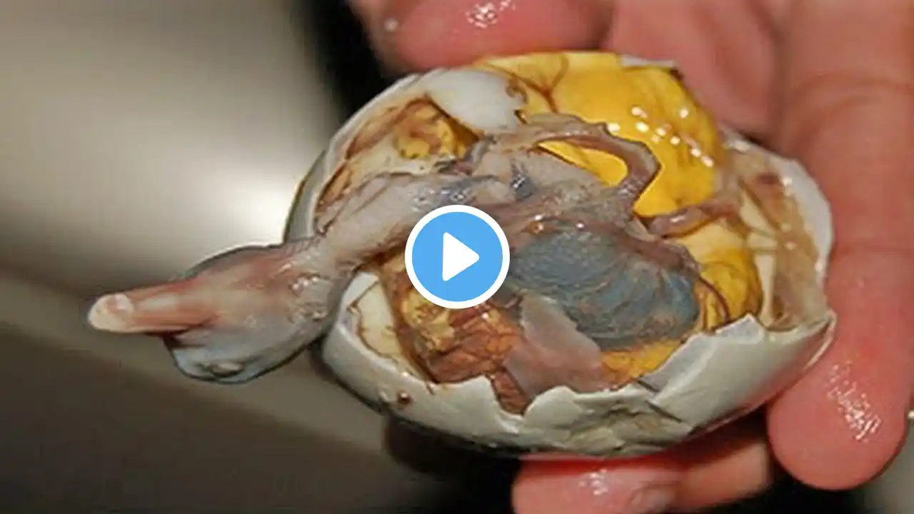 20  Most Disgusting Foods in the World