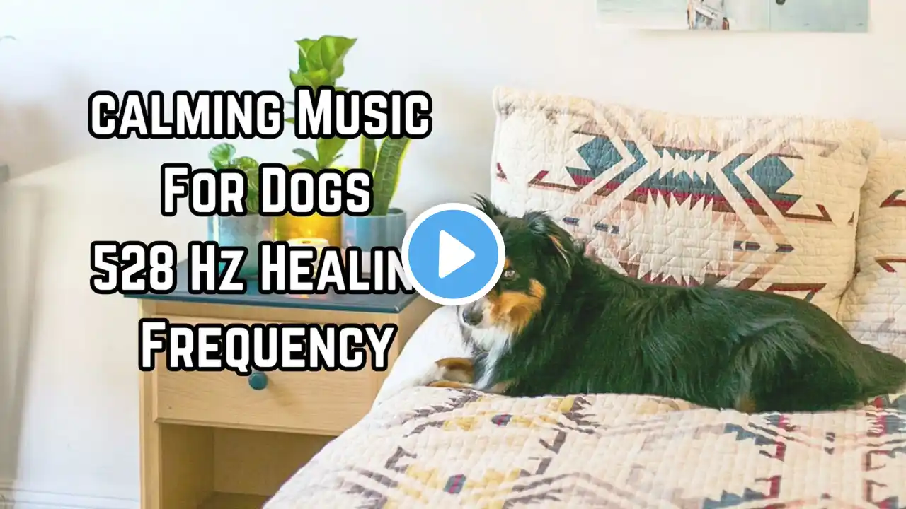 Dog Anxiety Relief Music | 528Hz Solfeggio Frequency for Relaxation & Deep Sleep