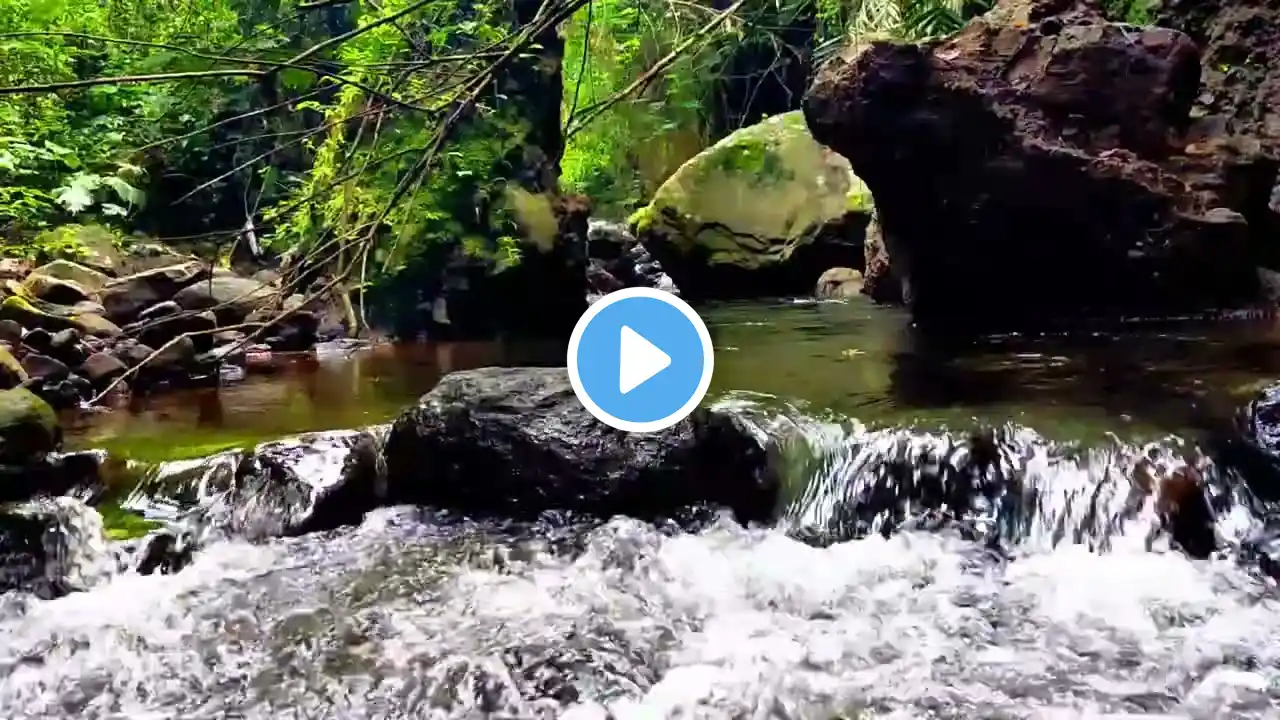 Relaxing River Sounds stress reliever, helps deep sleep, for meditation and yoga