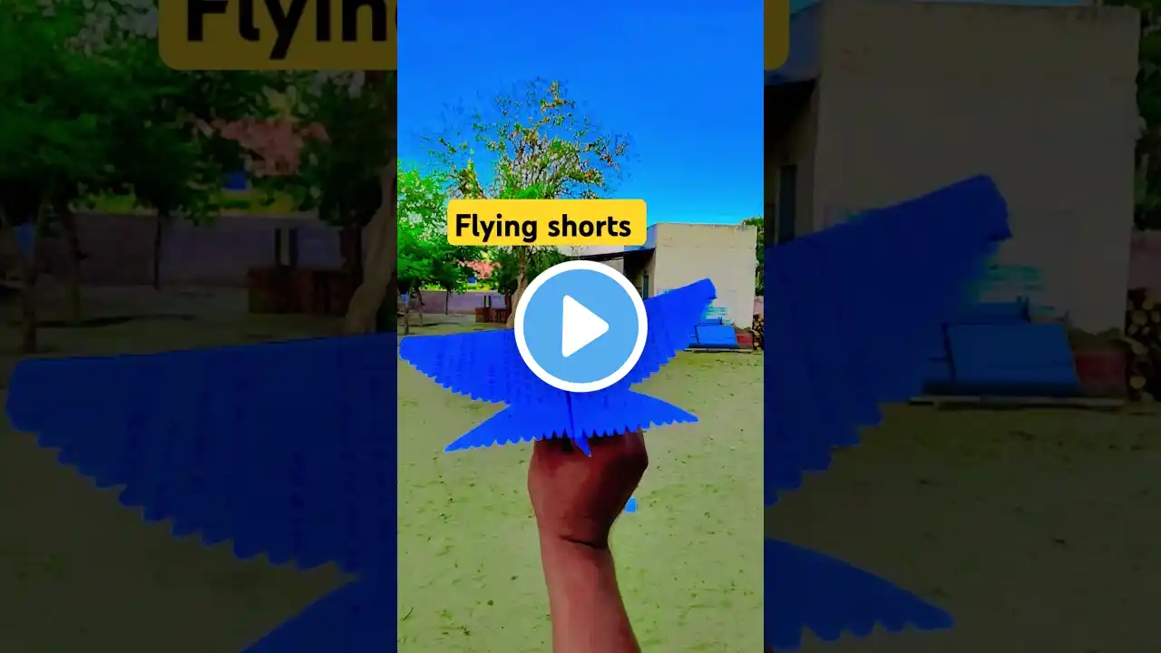 how to fly a bird paper plane/ best flying paper plane/ rocket 🚀🚀🚀 #tinyplanes #yt #trending #shorts