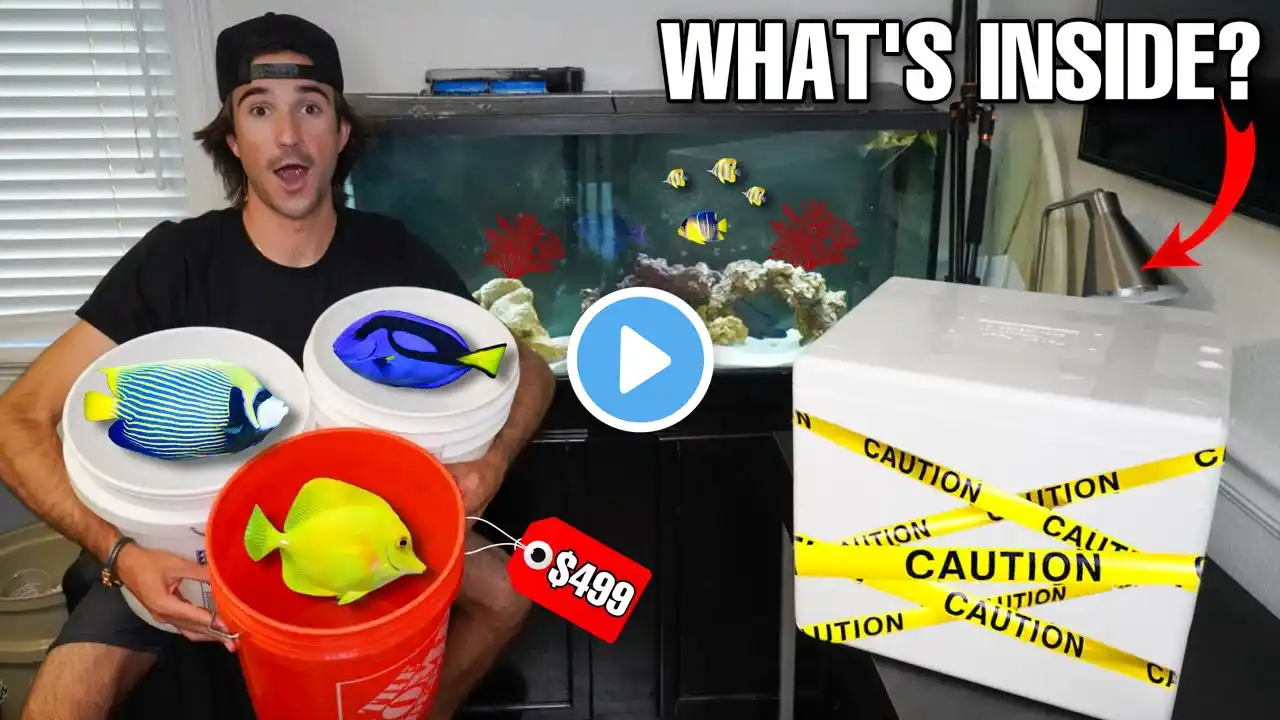 UNBOXING Expensive FISH SHIPMENT Full Of AQUARIUM FISH!!