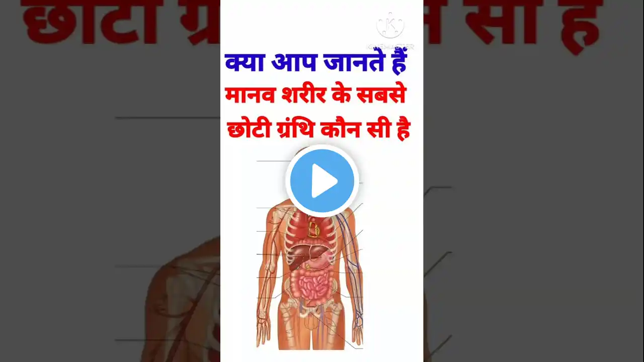 मानव शरीर के सबसे छोटी ग्रंथि कौन सी है | Largest gland Of Human Body| #science #gkquestion #gkshort