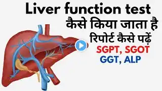 Liver function test in Hindi | lft blood test result in Hindi | lft  normal range