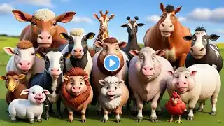 Cartoon Animal Sounds Compilation: Bear, Dog, Chicken, Cow, Pig, Rhino, Lion, Elephant, Monkey