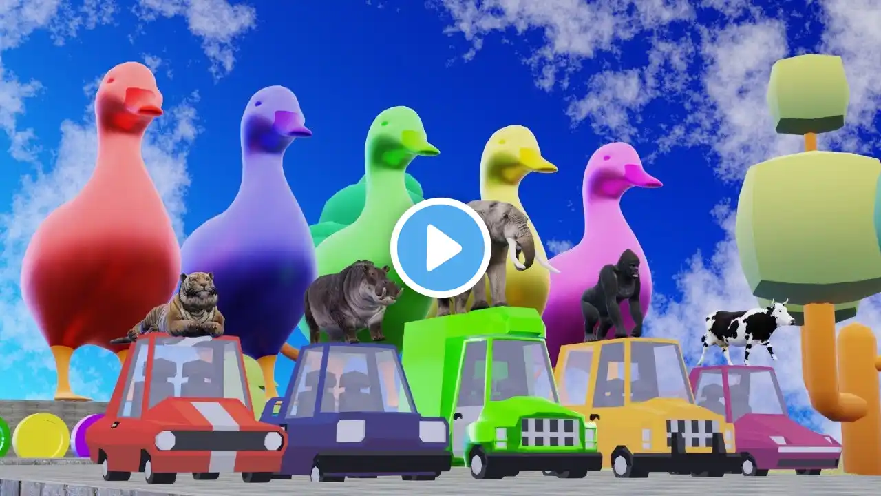 5 Giant Duck Cartoon,Cow,Elephant,Tiger,Lion,Giraffe,Paint Wild Animals Crossing Fountain Animation