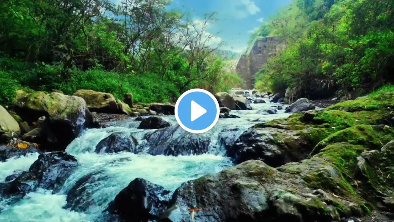 4K Relaxing River - Ultra HD Nature Video - Water Stream & Birdsong Sounds - Sleep/Study/Meditate