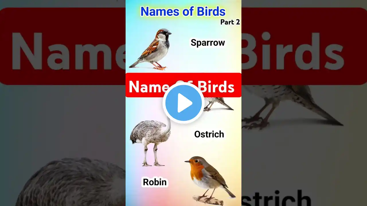 Name of Birds 🐦🕊️| #birds #bird #english #learning #shorts #viralvideo