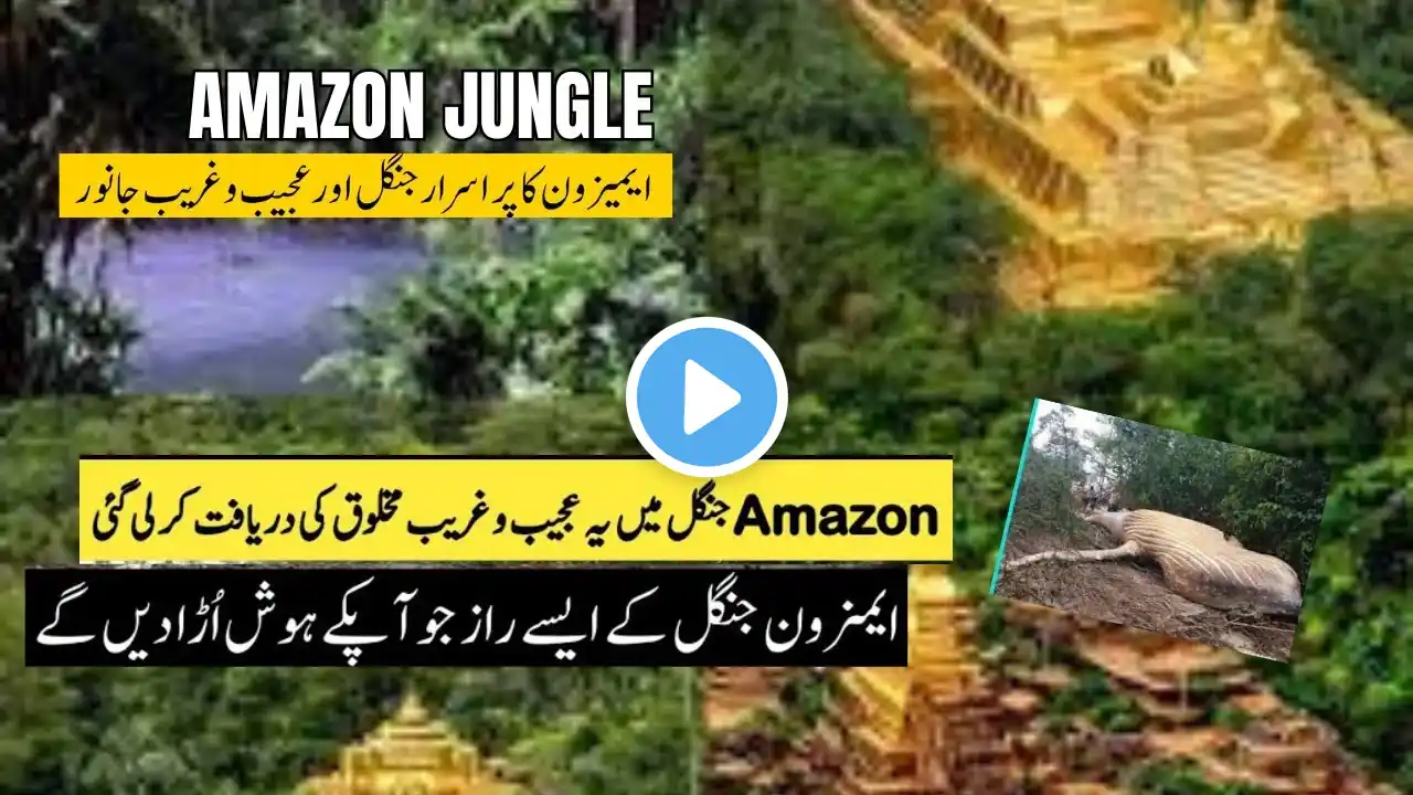 Amazon Jungle|5 Unsolved Mysteries