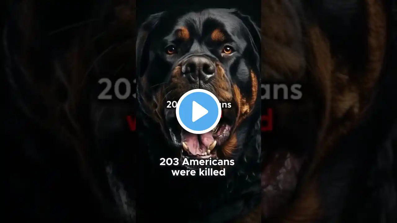 Most DANGEROUS Dog Breeds To Avoid NOW